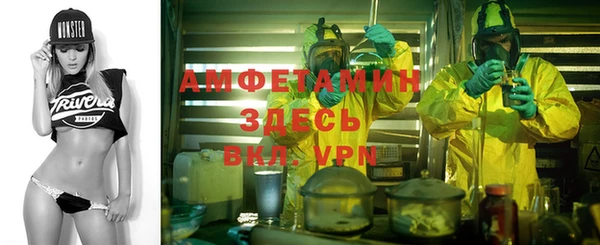 гидра Алексин