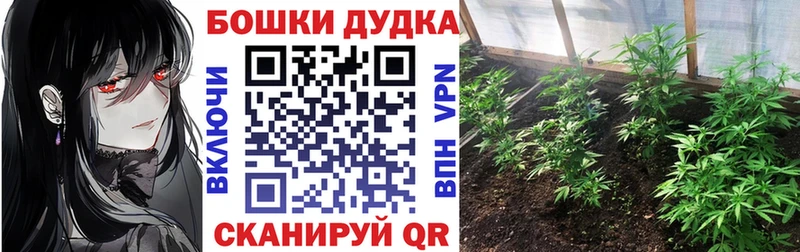mega tor  Чусовой  Бошки Шишки тримм 